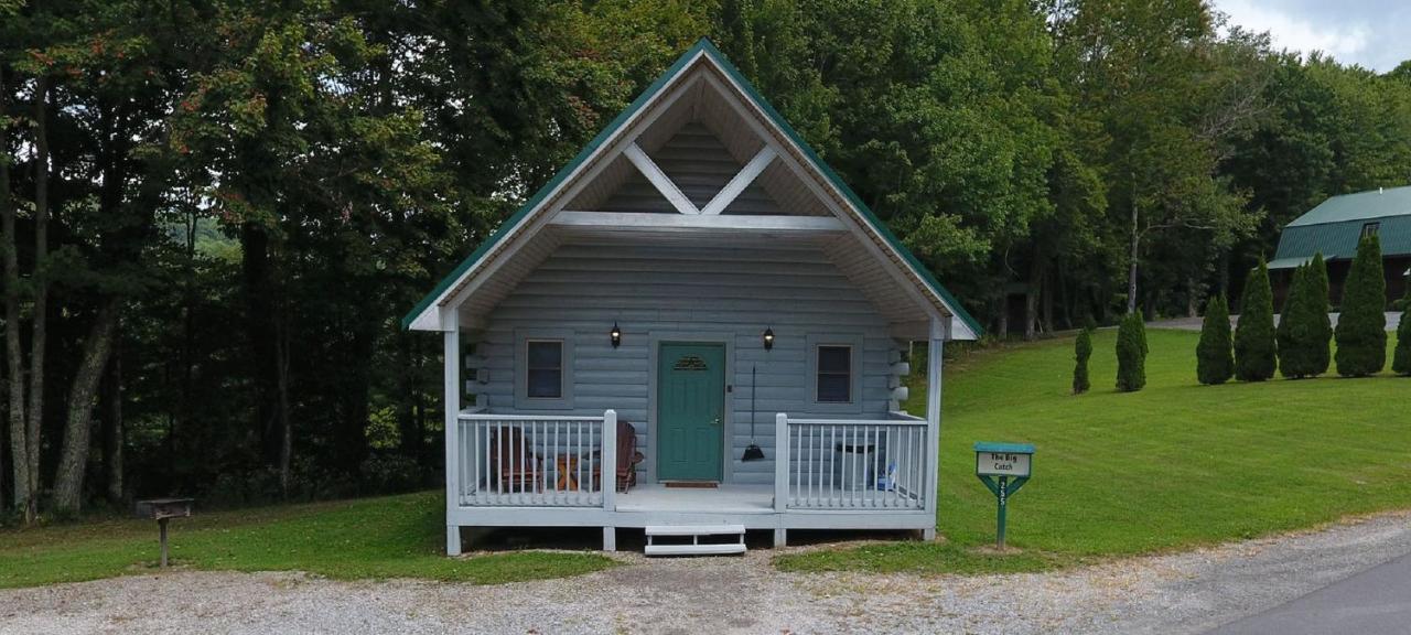 The Cabins At Pine Haven - Beckley Beaver エクステリア 写真